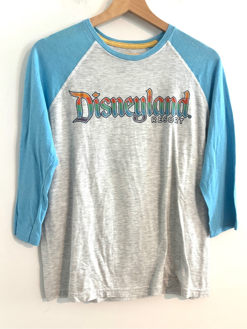 Disneyland Resort Size M Unisex Raglan Tee in Heather Gray & Sky Blue